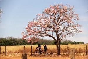 AUTOGUIADO>>CAMINHO DE CORA CORALINA>>MOUNTAIN BIKE TOUR>>5 NOITES