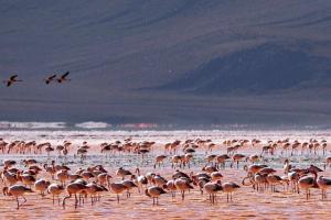 GUIADO >> BOLÍVIA, DEATH ROAD, SALAR DE UYUNI E ATACAMA >> MOUNTAIN BIKE TOUR >> 7 NOITES