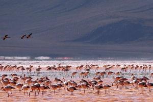 GUIADO >> BOLÍVIA, DEATH ROAD, SALAR DE UYUNI E ATACAMA >> MOUNTAIN BIKE TOUR >> 9 NOITES