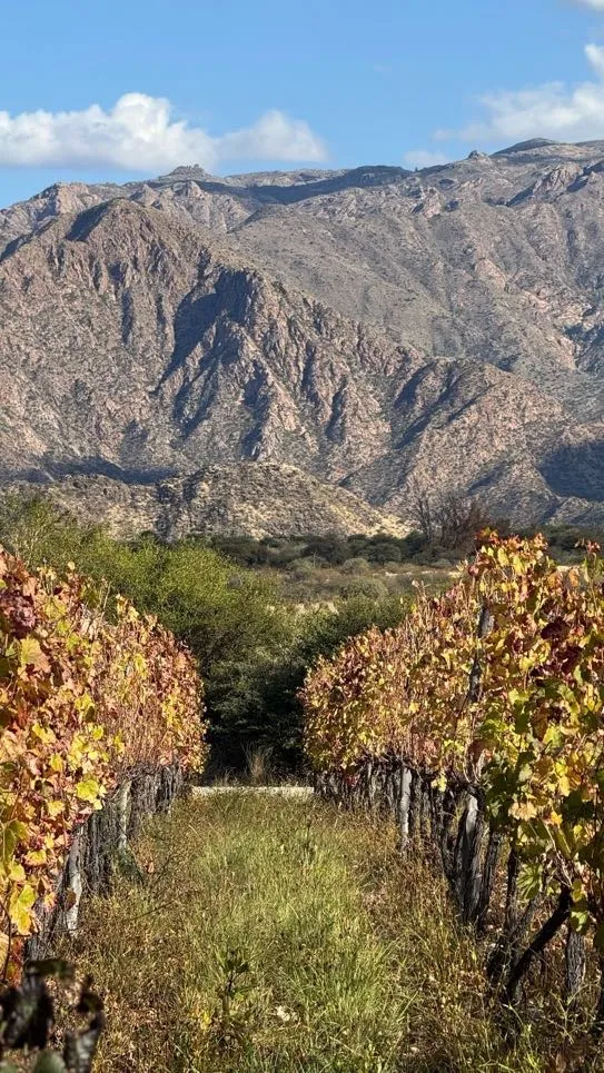 GUIADO>>SALTA Y JUJUY PELA ROTA DOS VINHOS >>7 NOITES