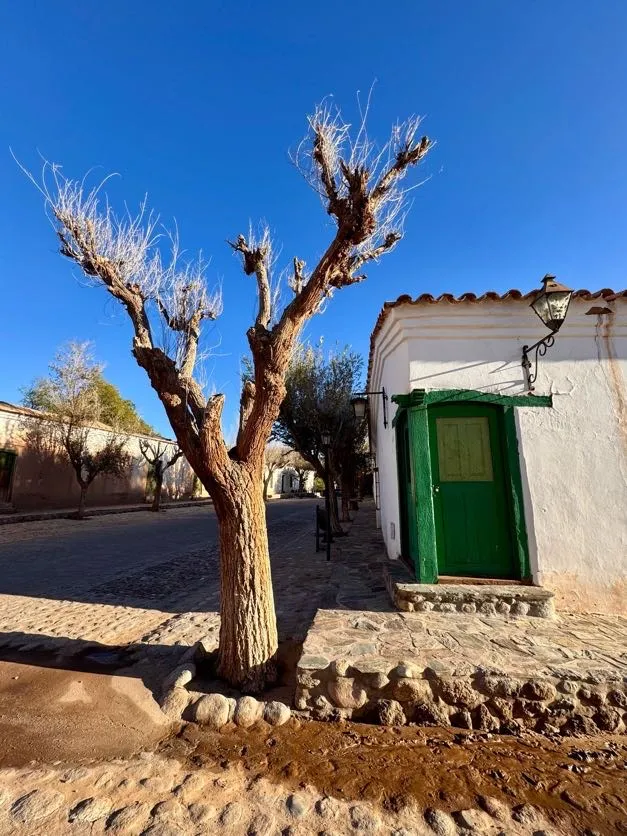 GUIADO>>SALTA Y JUJUY PELA ROTA DOS VINHOS >>7 NOITES