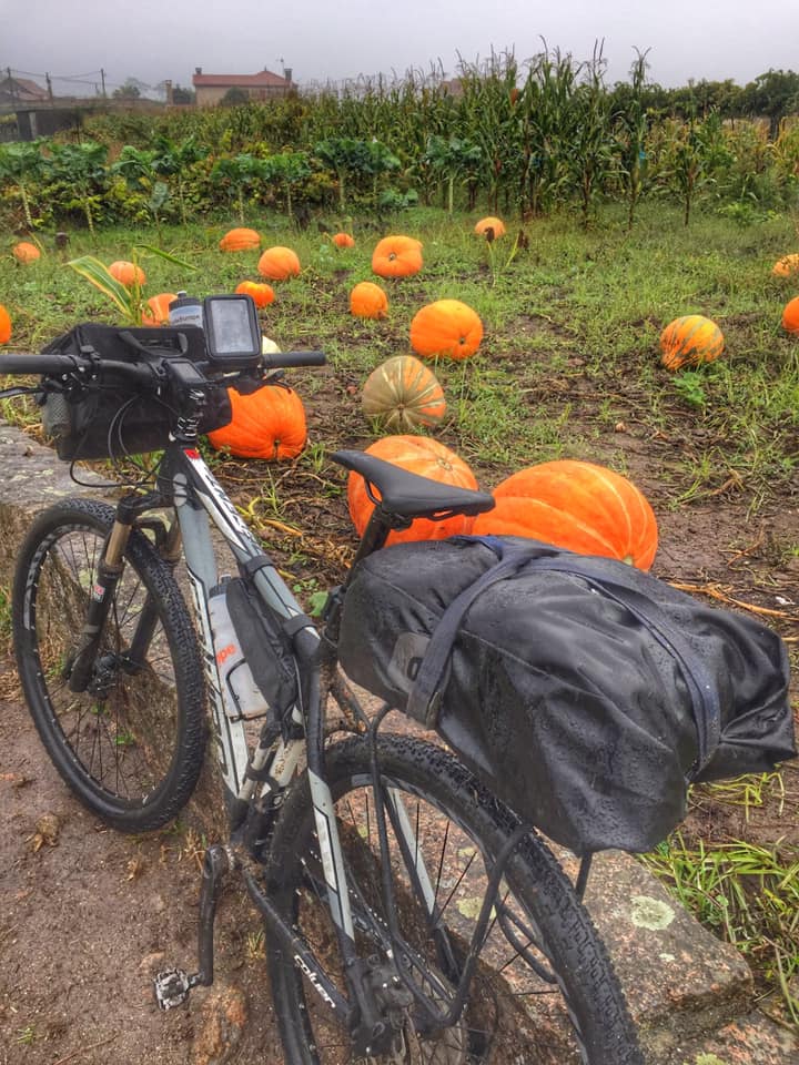 GUIADO>>SANTIAGO DE COMPOSTELA  PORTUGUES DA COSTA>>5 NOITES