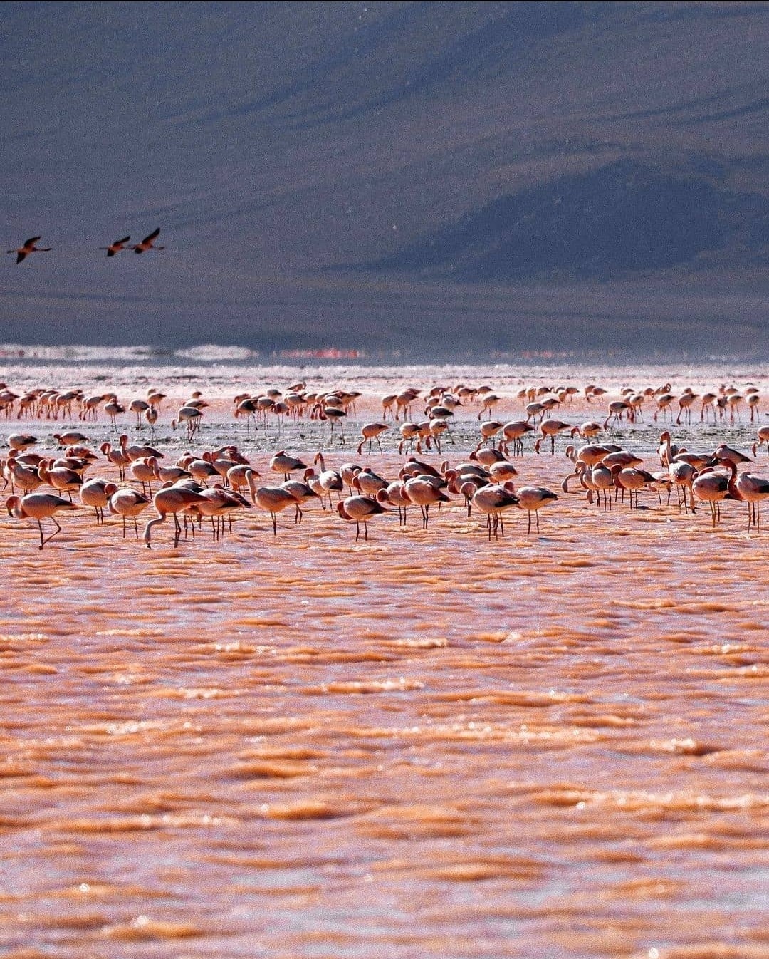 GUIADO >> BOLÍVIA, DEATH ROAD, SALAR DE UYUNI E ATACAMA >> MOUNTAIN BIKE TOUR >> 7 NOITES