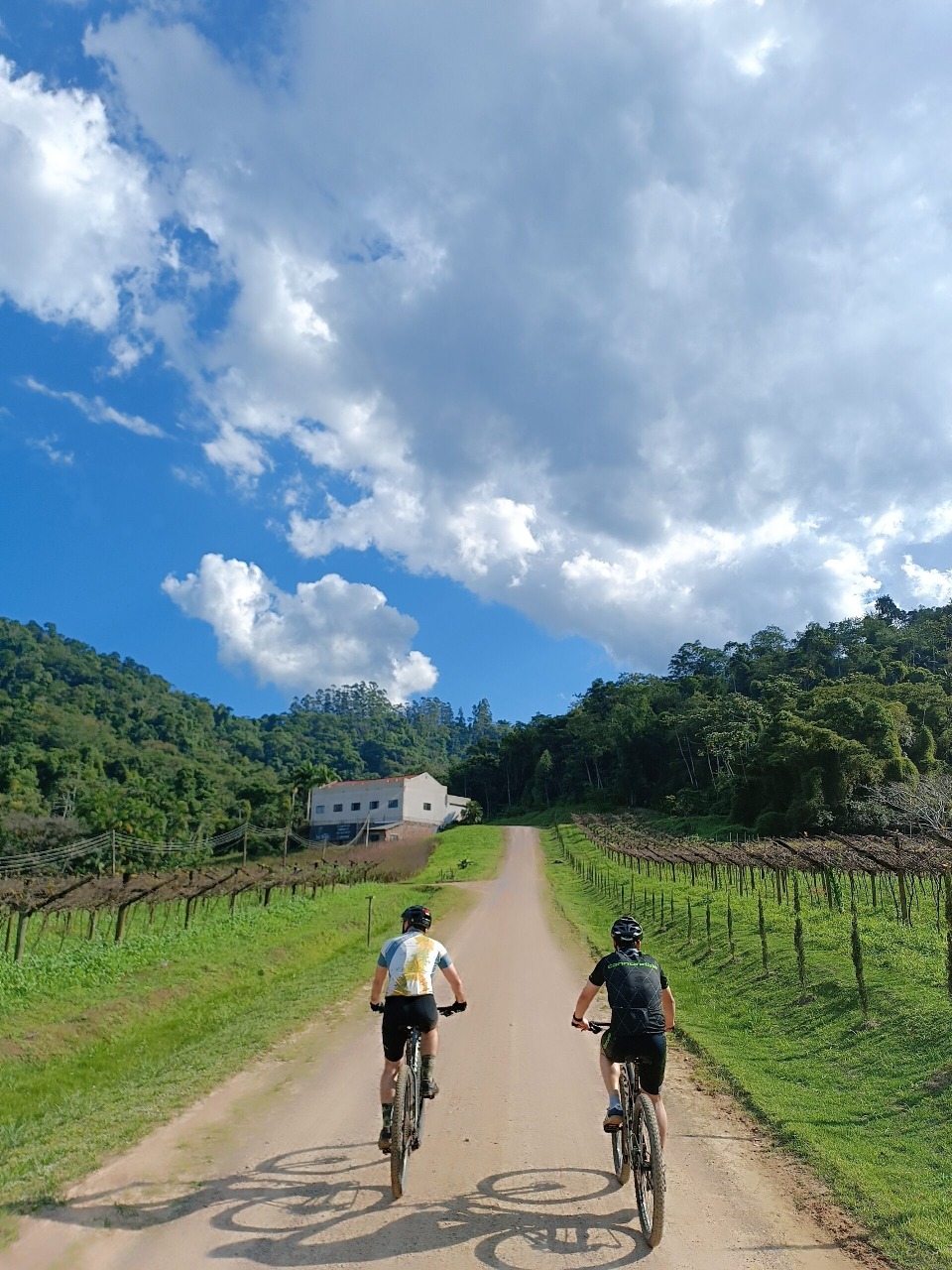 GUIADO >> MOUNTAIN BIKE TOUR >> VALE EUROPEU