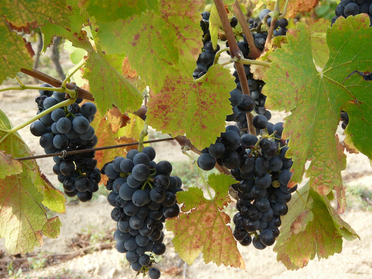 GUIADO >> CATALUNHA >> COSTA BRAVA E EMPORDÀ>> 7 NOITES