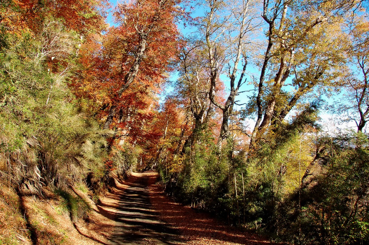 GUIADO>>PEDAL DA PATAGÔNIA>> VULCÕES DO CHILE >> REVEILLON 2026