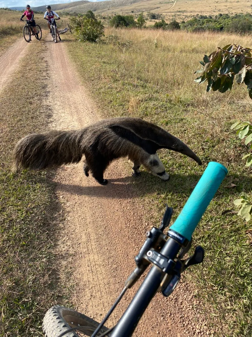 GUIADO >> MOUNTAIN BIKE TOUR >> SERRA DA CANASTRA